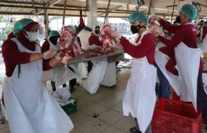 RPH Surabaya, pemotongan hewan kurban Surabaya, Iduladha 1447 H, sapi kurban Surabaya, layanan kurban higienis, PT RPH Surabaya Perseroda, Kesehatan Hewan Kurban,