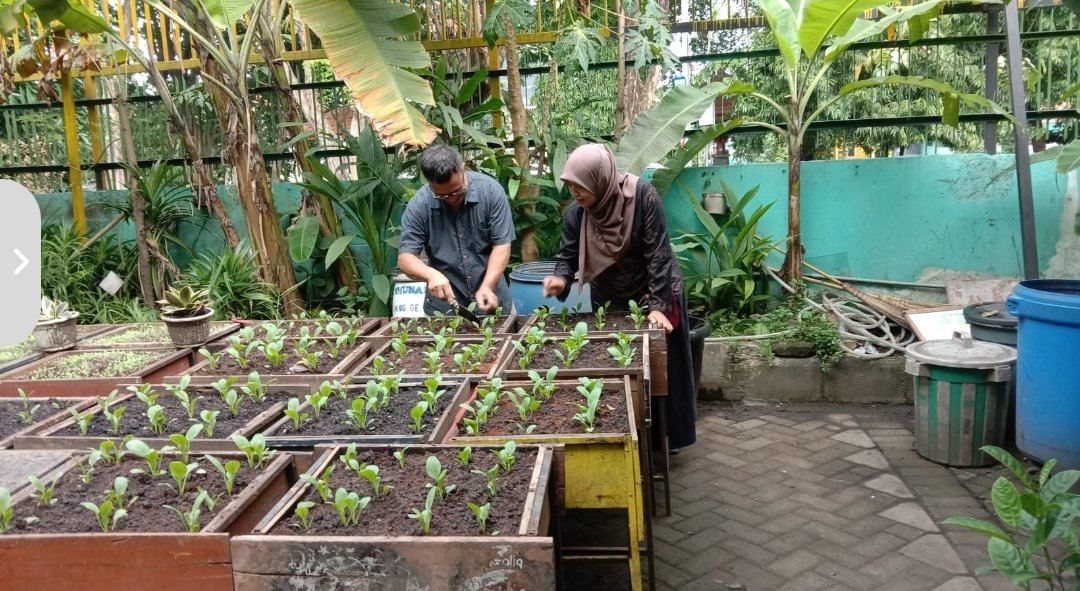 Meja Bekas Jadi Media Tanam, SDN Ngagel 1 Surabaya Kembangkan Pembelajaran Kreatif