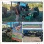Viral Jelang Idul Adha 2026! Nokrom Farm Diserbu Pembeli, Sapi & Kambing Qurban Bergaransi 100%