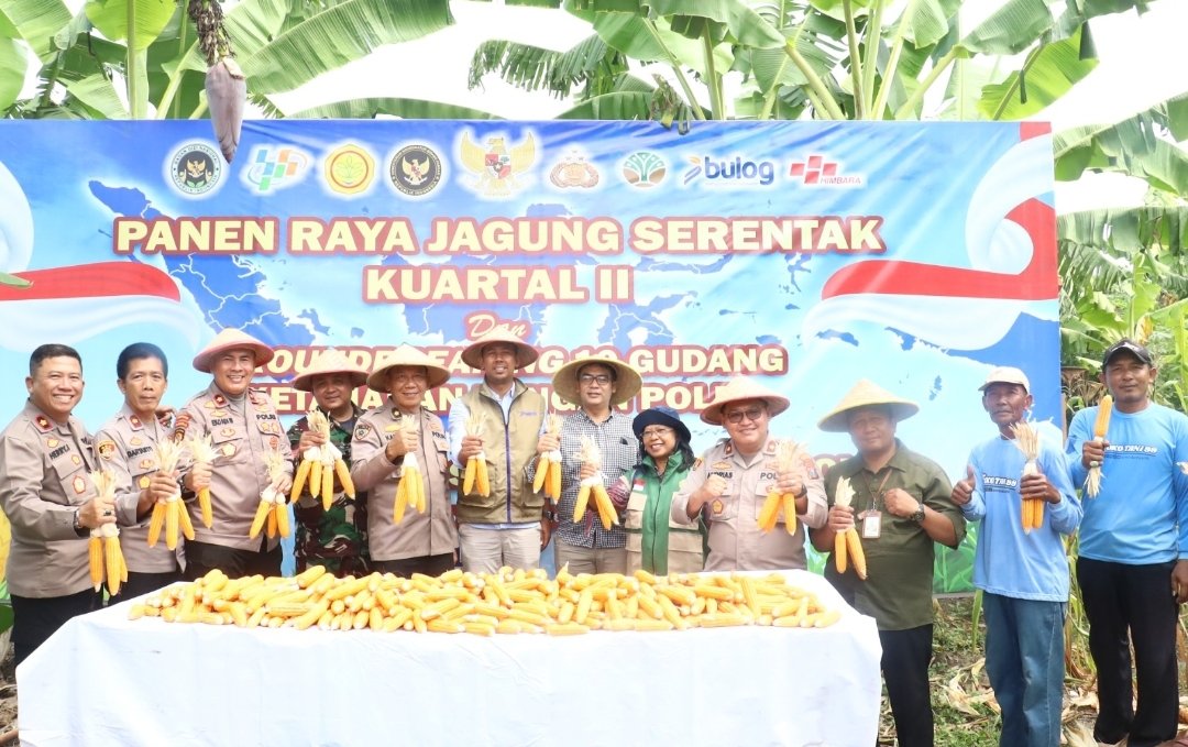 Wujudkan Ketahanan Pangan, Polres Pelabuhan Tanjung Perak Panen Raya Jagung Kuartal II Tahun 2026