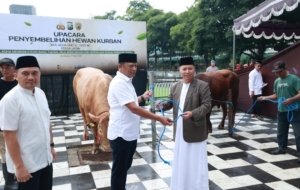 Iduladha 1447 H Polda Jatim Salurkan Ratusan Hewan Kurban untuk Masyarakat