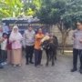 Kapolres Jombang Serahkan Sapi Kurban dari Kapolda Jatim untuk Dua Ponpes