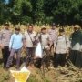 Panen Jagung, Polresta Malang Kota Perkuat Ketahanan Pangan Bersama Petani Kedungkandang