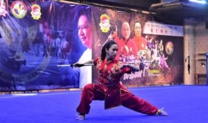 Wushu