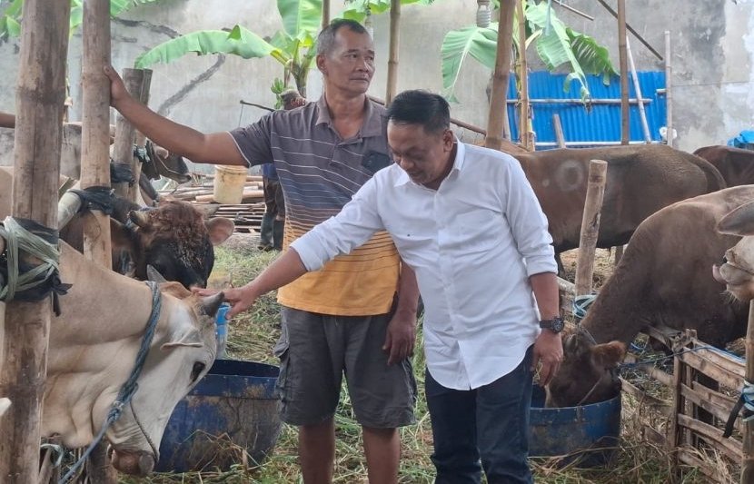 Hewan Kurban, Hari Raya Iduladha,Sekretaris Komisi A DPRD Surabaya ,Anas Karno,