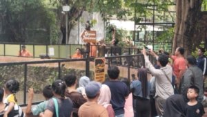 Penataan Ulang Kebun Binatang Surabaya: Transformasi Menuju Tempat Edukasi dan Rekreasi yang Lebih Baik