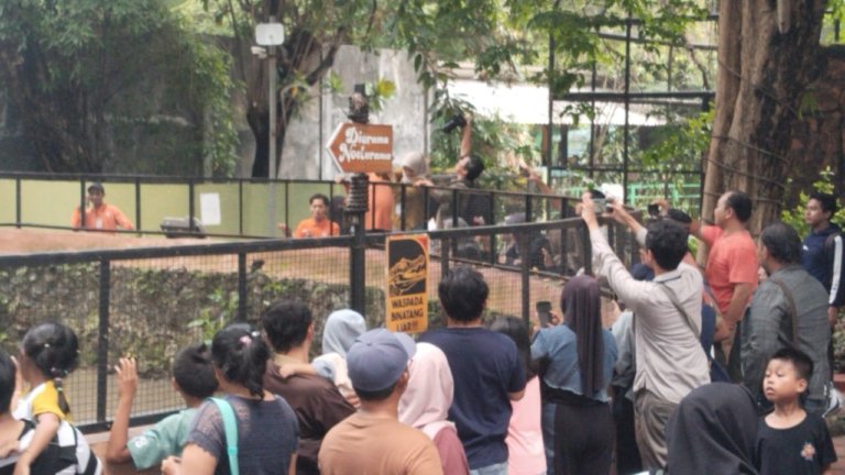 Penataan Ulang Kebun Binatang Surabaya: Transformasi Menuju Tempat Edukasi dan Rekreasi yang Lebih Baik