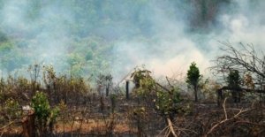 Cuaca Ekstrem di Surabaya: Pengaruh El Nino yang Harus Diperhatikan
