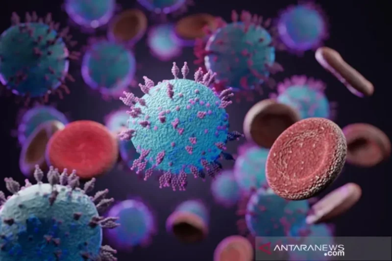 Hantavirus ,Indonesia: