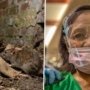 Ancaman Kesehatan yang Tersembunyi: Hantavirus di Indonesia