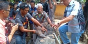 DPRD Surabaya: KBS Jadi Contoh Konservasi Global dengan Peminjaman Komodo ke Jepang