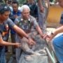 DPRD Surabaya: KBS Jadi Contoh Konservasi Global dengan Peminjaman Komodo ke Jepang