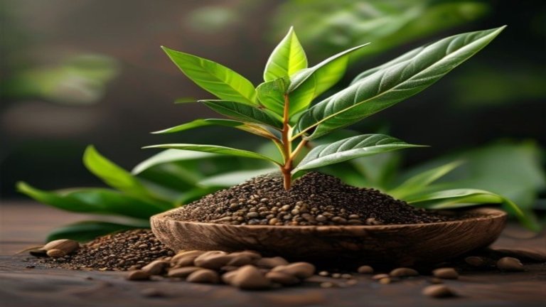 Kombinasi yang Mendasar: 5 Obat Herbal Ternyata Sama dengan Alami yang Diketahui