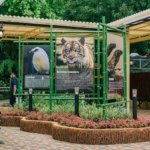 surabaya zoo