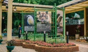 surabaya zoo
