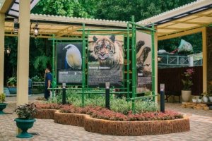 Perubahan Wajah Kebun Binatang Surabaya untuk Menjaring Wisatawan Baru