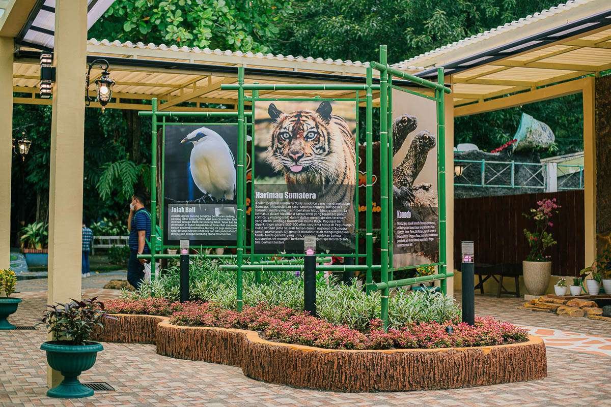 Perubahan Wajah Kebun Binatang Surabaya untuk Menjaring Wisatawan Baru