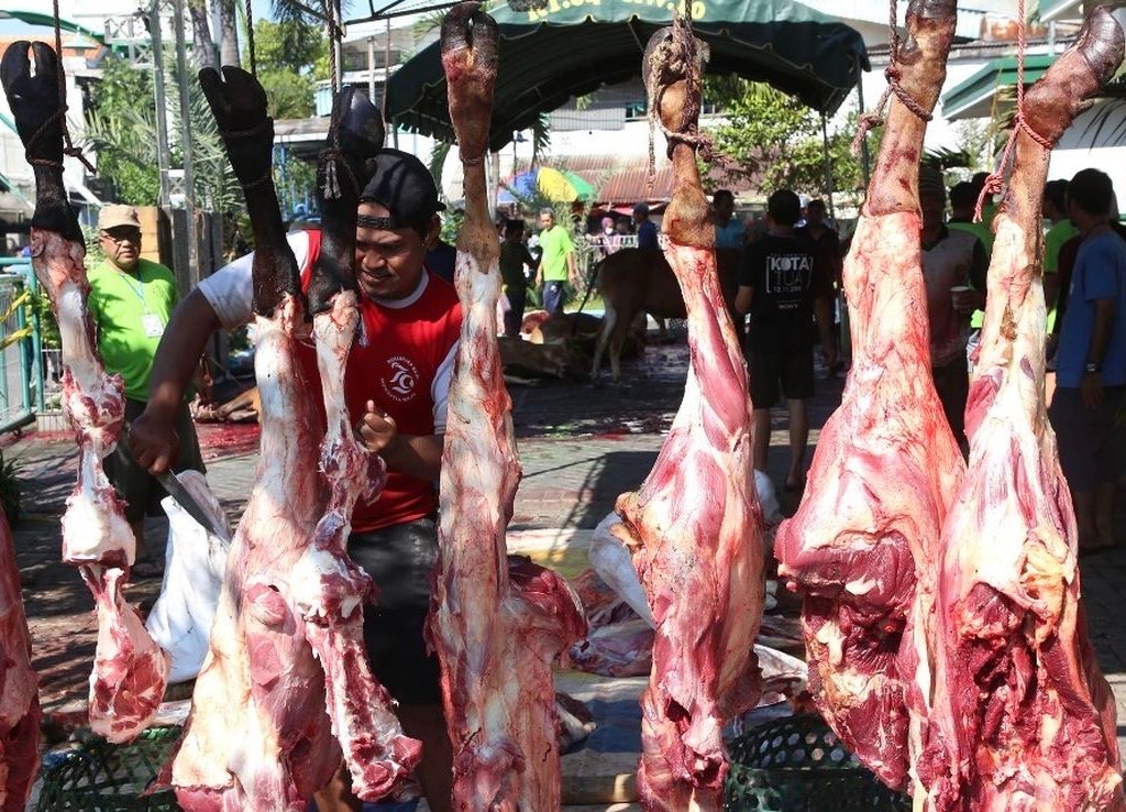 Pemkot Surabaya , Daging Kurban, Cacing Hati ,Cacing Pita