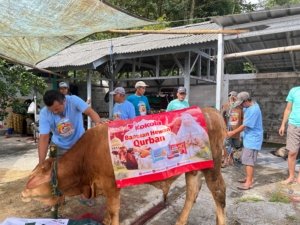 Sinergi Kokola Group dan Mamah Dedeh, Tebar Kebaikan Lewat Qurban Sapi Limosin