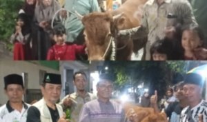 IMG 20260616 WA0000
