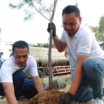 Hari Lingkungan Hidup Sedunia 2026, Penanaman Cemara Udang ,Surabaya