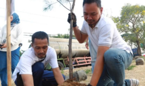 Hari Lingkungan Hidup Sedunia 2026, Penanaman Cemara Udang ,Surabaya