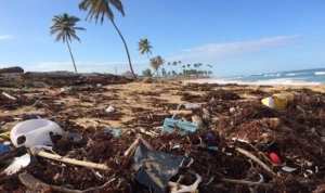 Partnership for Preventing Riverine Plastic Pollution, Surabaya,Sampah Plastik