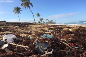 Partnership for Preventing Riverine Plastic Pollution, Surabaya,Sampah Plastik