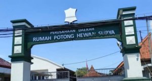 Komisi B DPRD Surabaya RPH Osowilangun