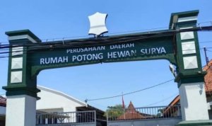 Komisi B DPRD Surabaya RPH Osowilangun