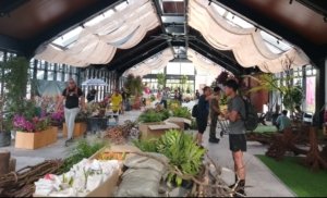Indonesia Tetap Eksis di Pameran Anggrek Internasional Malaysia Meski Terkendala Regulasi