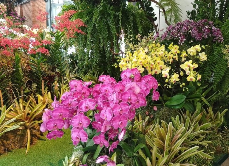 Anggrek Nusantara Antar Indonesia Jadi Runner Up Pameran Internasional di Malaysia