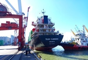 Program EAZI Sukses Tingkatkan Kapasitas dan Produktivitas TPK Nilam