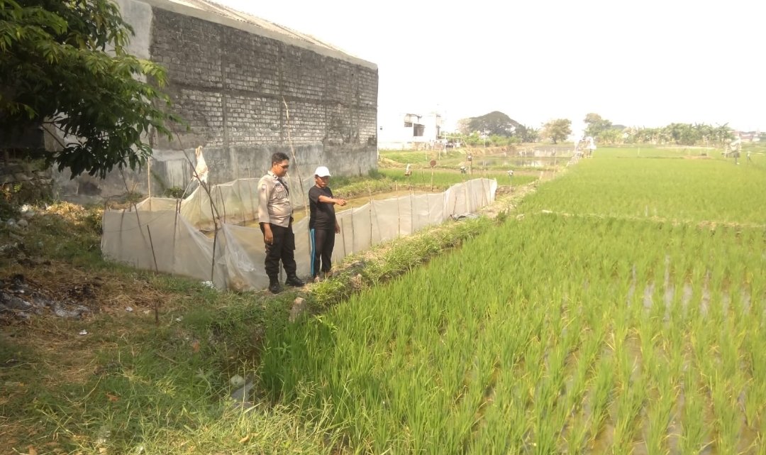 Polri Dekat dengan Petani, Bhabinkamtibmas Sumberrejo Dorong Ketahanan Pangan dan Jaga Kamtibmas