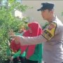 Ketahanan Pangan Kota Tiga Pilar Jambangan Dorong Inovasi Pekarangan Produktif untuk Kemandirian Pangan Warga