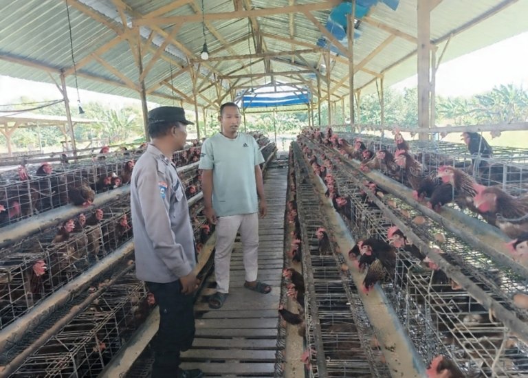 Sinergi Polri dan Peternak, Polsek Rembang Dorong Penguatan Ketahanan Pangan di Pasuruan