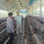 Sinergi Polri dan Peternak, Polsek Rembang Dorong Penguatan Ketahanan Pangan di Pasuruan