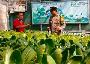Polrestabes Surabaya Dukung Inovasi Pertanian Warga Lewat Budidaya Hidroponik Jemur Wonosari