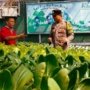 Polrestabes Surabaya Dukung Inovasi Pertanian Warga Lewat Budidaya Hidroponik Jemur Wonosari