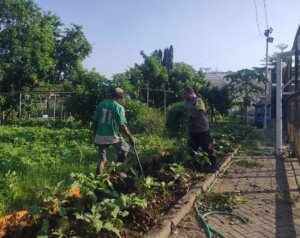 Bhabinkamtibmas Rungkut Kidul Ajak Poktan Tugu Perkuat Ketahanan Pangan Lewat Kebun Produktif