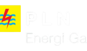 logo-plneg-light.png logo plneg light
