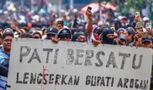 Aliansi Masyarakat Pati Bersatu , DPR RI