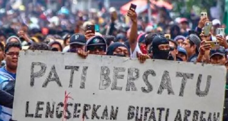 Aliansi Masyarakat Pati Bersatu , DPR RI