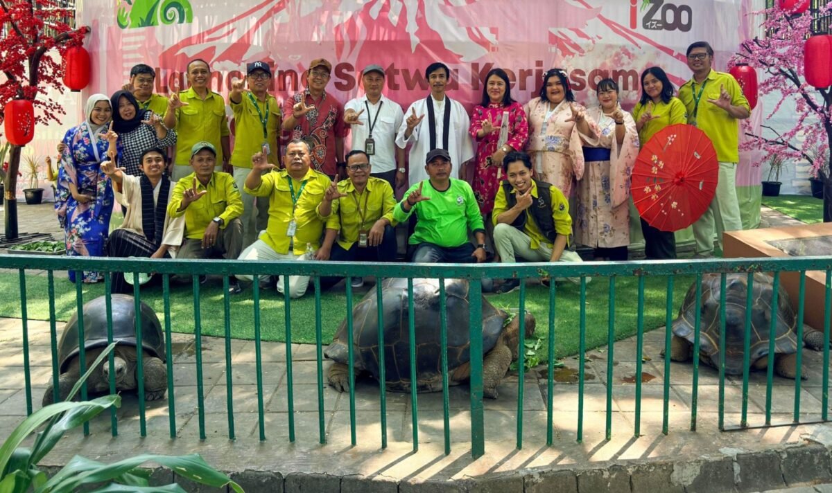 Kura-Kura Aldabra Raksasa kbs