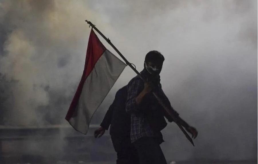 Demonstrasi, Mahasiswa UI