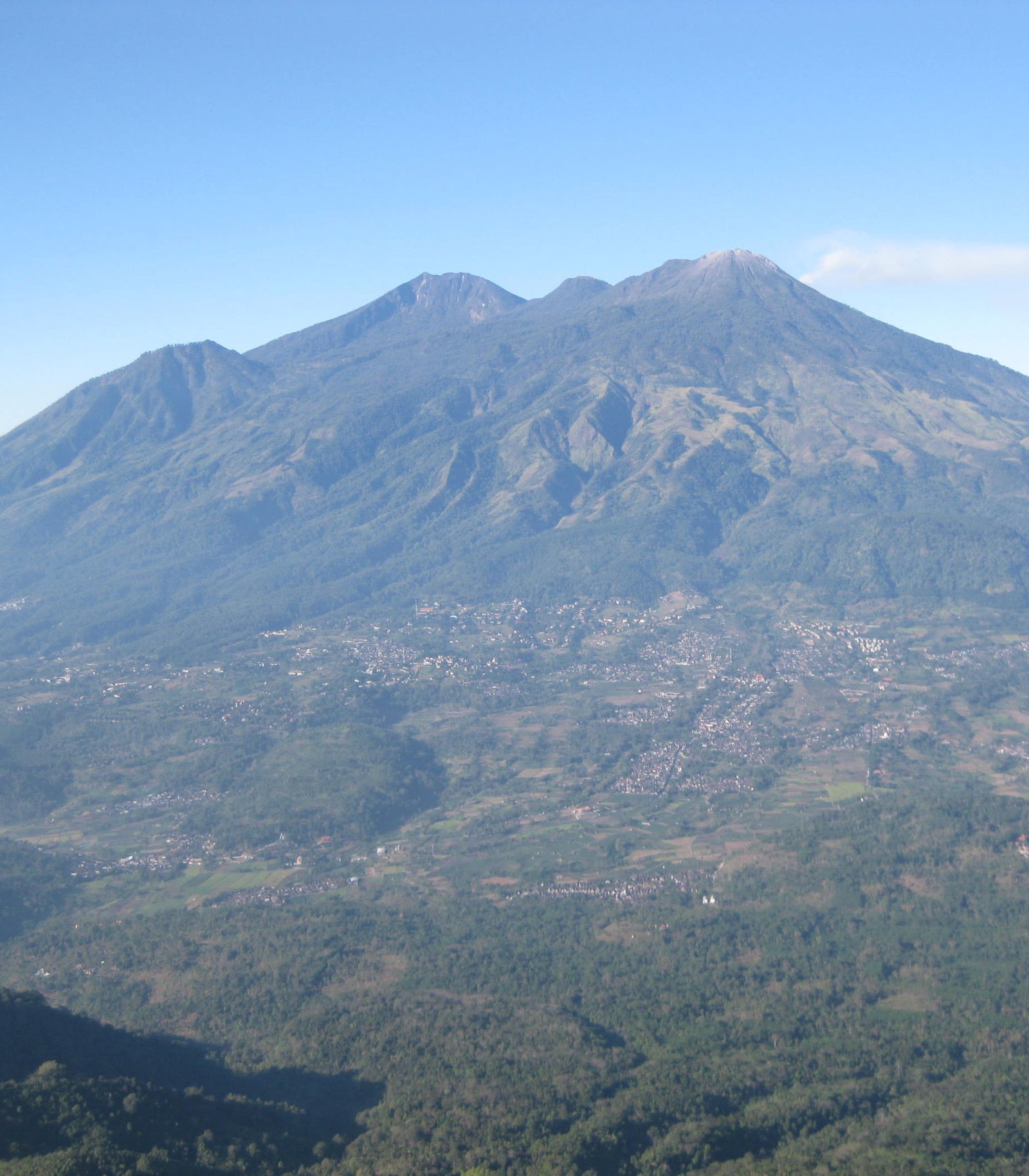 Gunung Arjuno-Welirang Kebakaran Hutan
