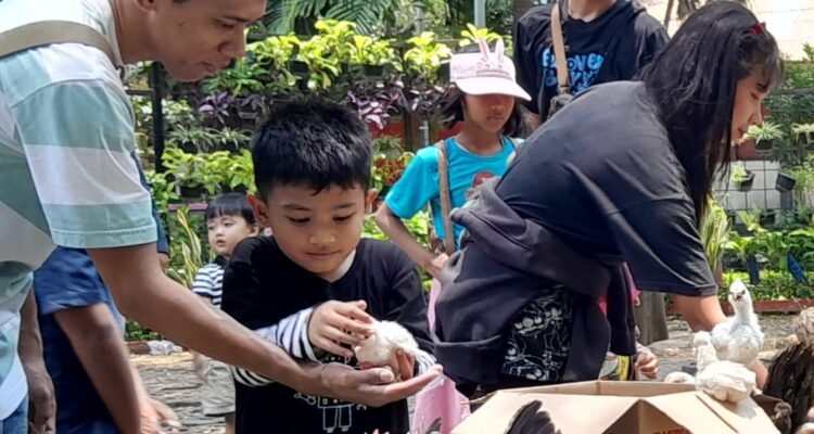 IMG 20261012 WA0017