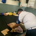IMG 20261016 WA0052