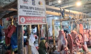 Daging sapi Harga Daging Sapi