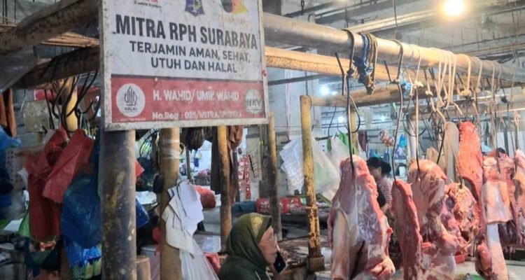 Harga Daging Sapi